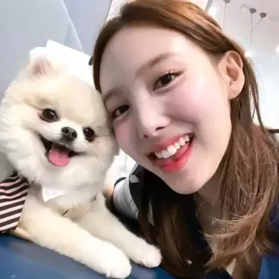 晏青梦